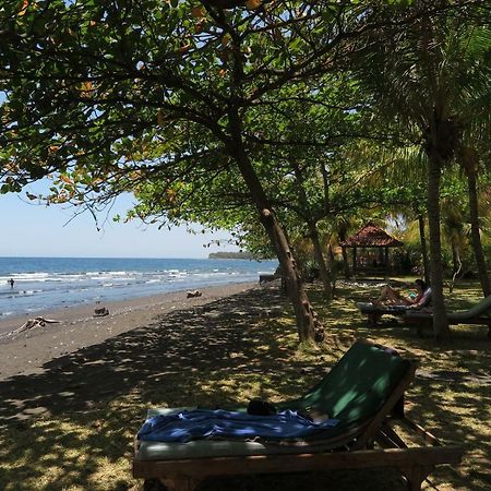 Bali Sandat Tejakula Dış mekan fotoğraf